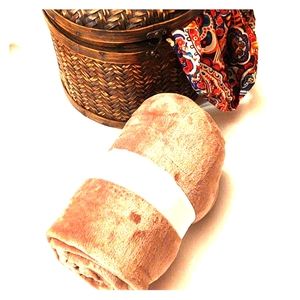 SOLD NWOT Plush Throw